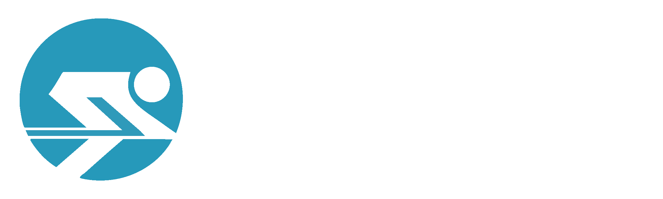 Logo Esquí Club Cerler Aneto