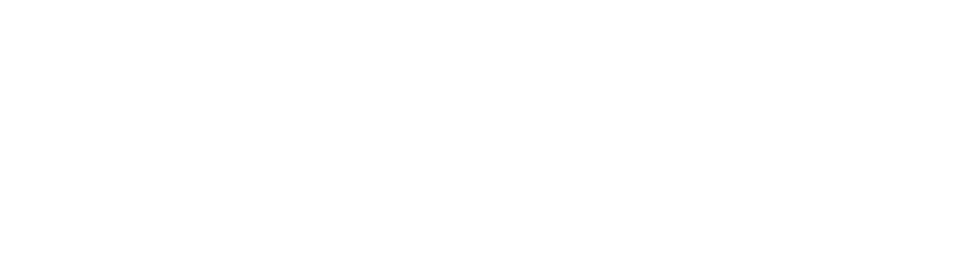 5 COMPETICION BLANCO