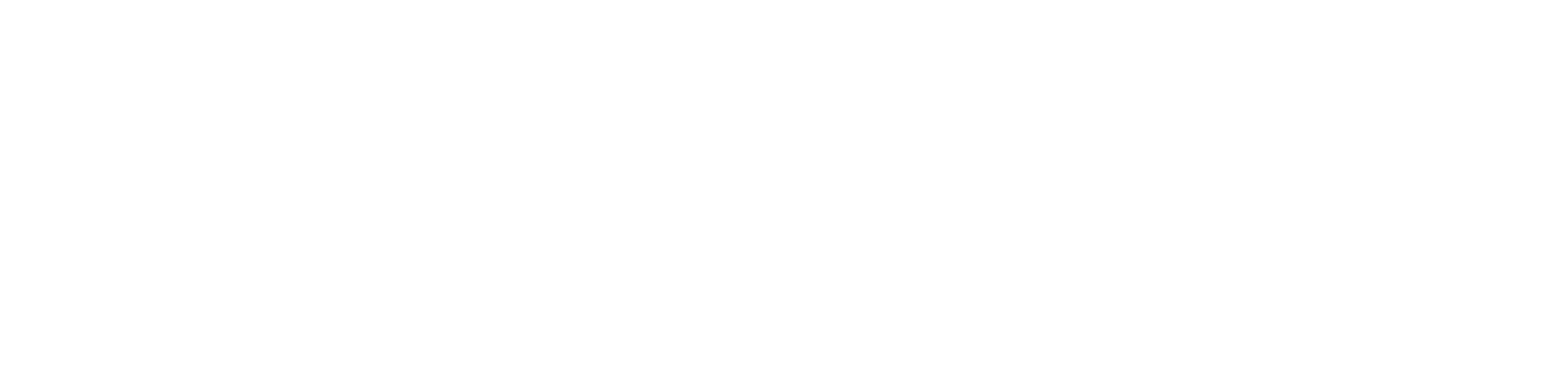 6 FREE ESQUI BLANCO